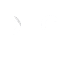 مجموعه المهندسين المحترفين